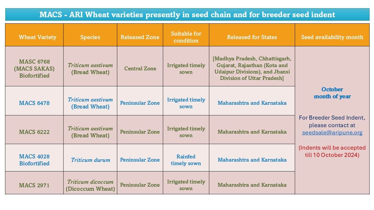 Breeder Seed Availability for Sale for rabi season 2024-25